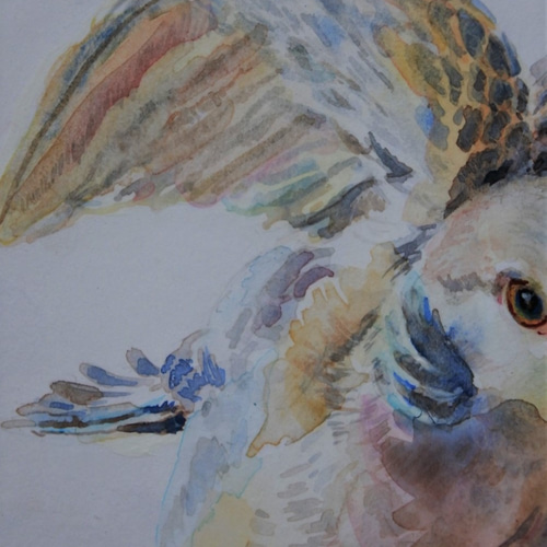 トウマページ　水彩画 シマウマの水彩画の虹、シマウマのギフト、シマウマのプリント