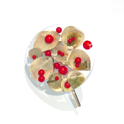 赤い実とユーカリのクリアポニーフック      ユーカリパール母の日ギフト誕生日プレゼントお祝いクリスマスドライフラワー 1枚目の画像