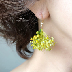 　lime green 花束ドライフラワーピアス/イヤリング 1枚目の画像