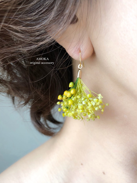 　lime green 花束ドライフラワーピアス/イヤリング 1枚目の画像