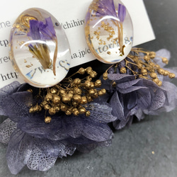 Hydrangea and flower cabochon ドライフラワーピアス/イヤリング　　卒業式　卒園式　入学式　 8枚目の画像