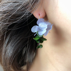 lilas lilas乾燥花耳環/耳環 第2張的照片