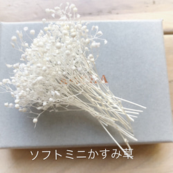 手作りキット　かすみ草ピアス/イヤリング(工具は含まれません) 3枚目の画像