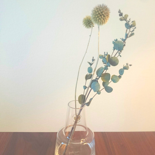 瑠璃玉アザミエキノプスドライフラワー花材