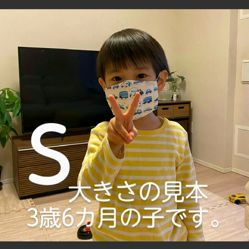 子供用立体型ガーゼマスク2枚組（特急列車と空飛ぶ乗り物）Sサイズ