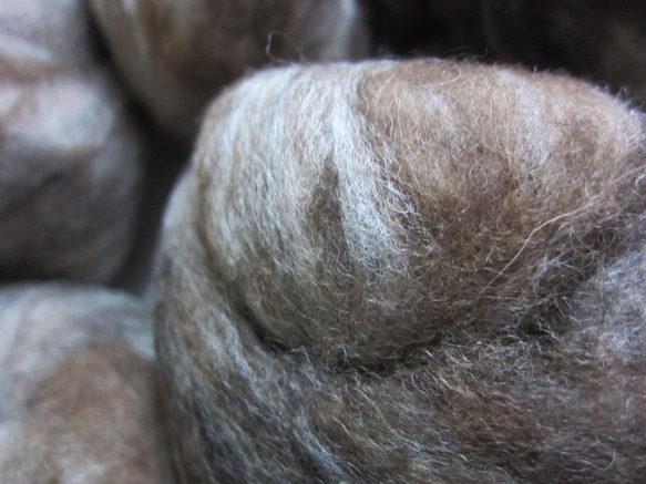フェルト作り用・紡ぐ前の毛糸、フィンランド 1枚目の画像