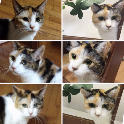 愛猫そっくり！羊毛フェルトねこ オーダー受付中 〜70,000円