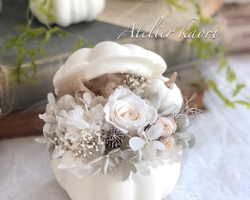 0_d790bee65bed4a2995a1d01843f0