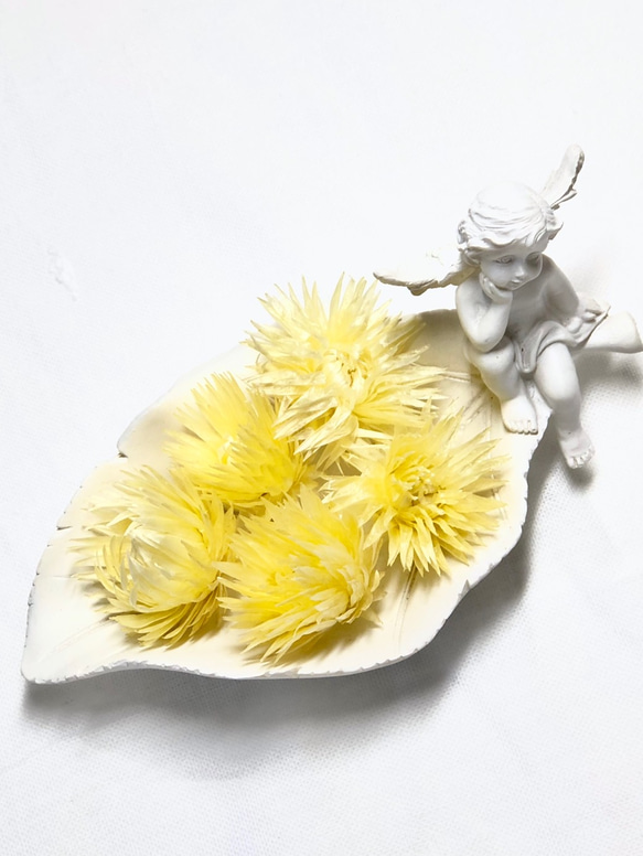 シルバーデイジー (エンジェルイエロー)／ハーバリウム花材 プリザーブドフラワー 1枚目の画像