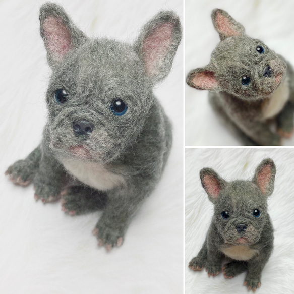 フレンチブルドッグ(ブルー) 羊毛フェルト Take Me Home 通販