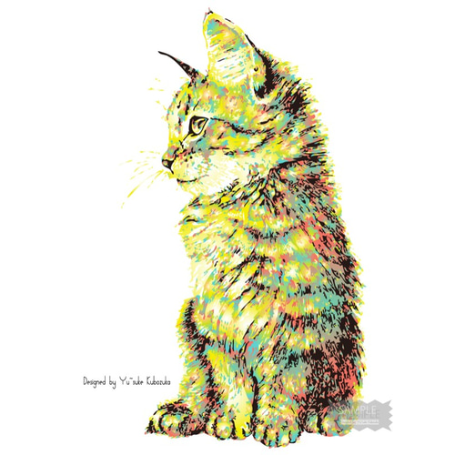 猫のタロットカード カラフル 猫のイラスト 猫の雑貨 HANAKO