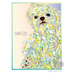 シーズー　インテリアアート　インテリア雑貨　ポストカード　犬 4枚目の画像