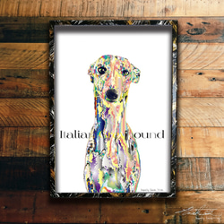 イタリアン・グレーハウンド　オリジナルフレーム入りポスター　犬　ドック　イラスト　絵　インテリア　アート　イタグレ 1枚目の画像