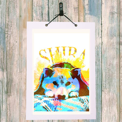 柴犬　犬　イラストインテリア　アート　インテリア雑貨　ポストカード　 5枚目の画像