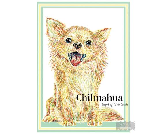 Chihuahua 1枚目の画像
