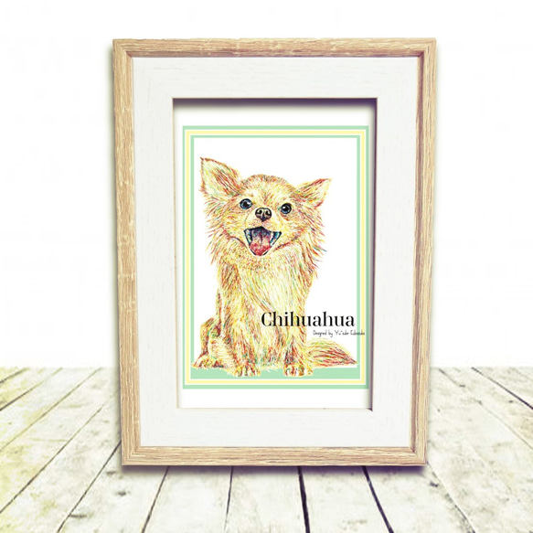 Chihuahua 2枚目の画像