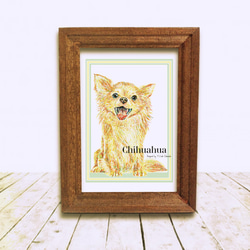 Chihuahua 3枚目の画像