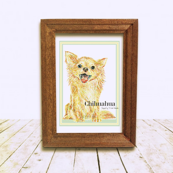 Chihuahua 3枚目の画像