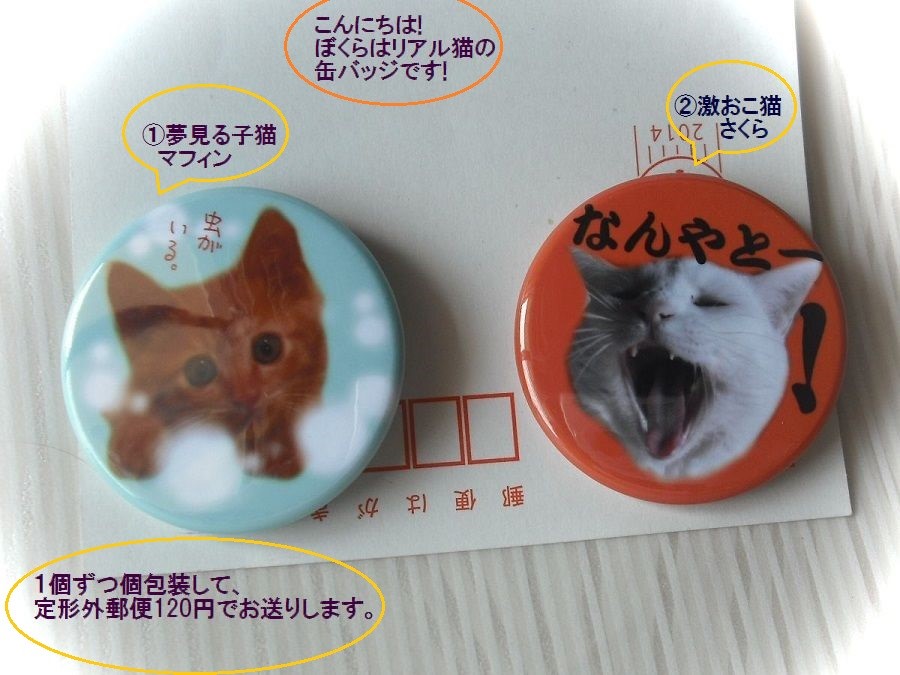 メルヘン猫と激おこ猫の缶バッジ 2点セット その他雑貨 Orange
