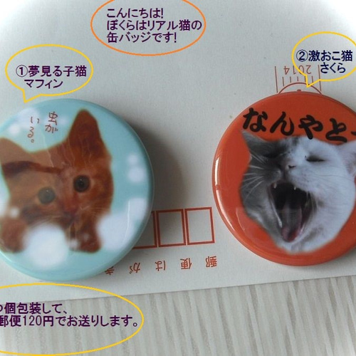 【最終値下げ】猫屋敷まゆ 缶バッジ 55点セット 最終値下げ】猫屋敷まゆ 缶バッジ 55点セット - メルカリ