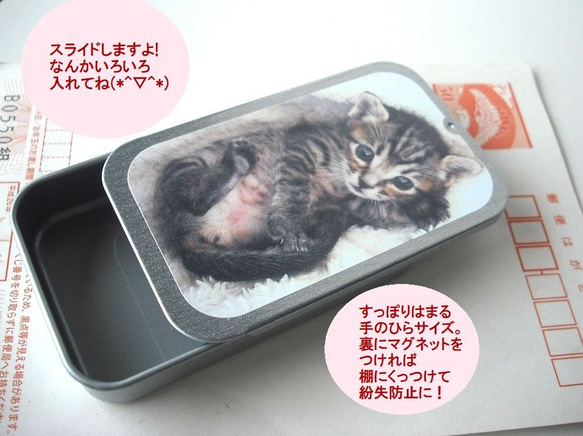 赤ちゃん猫のしぇ～　手のひらサイズのスチール缶 2枚目の画像