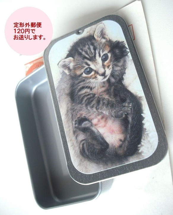 赤ちゃん猫のしぇ～　手のひらサイズのスチール缶 4枚目の画像