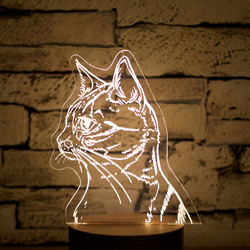 有製夜燈-寵物客製版 第1張的照片