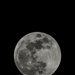 【月・宇宙】スーパーブルーブラッドムーン ファスナーバッグ 6枚目の画像