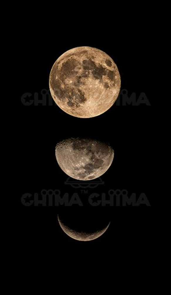 【Creema限定】月・オリオン大星雲 プリントタイツ 2枚目の画像