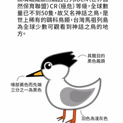 【中國水墨設計】神話之鳥燕鷗馬克杯_錐型杯 第4張的照片