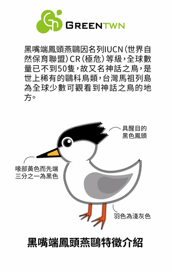 【Design of splash-ink】Chinese crested tern Mug 4枚目の画像