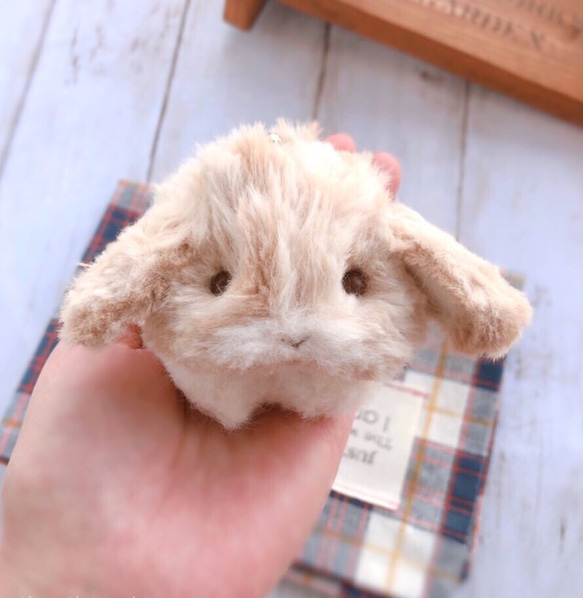 の文字化けスキル なろう 手乗りサイズのむちむち赤ちゃんうさぎ