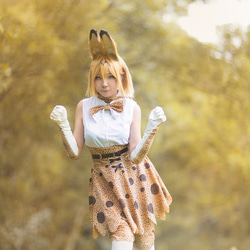 けものフレンズ サーバル 猫風 仮装 コスプレ衣装 オーダー けものフレンズ サーバル 猫風 仮装 コスプレ衣装 オーダー