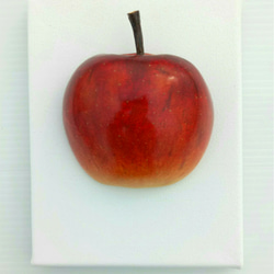 リンゴ 1枚目の画像