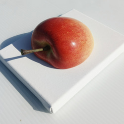 リンゴ 2枚目の画像