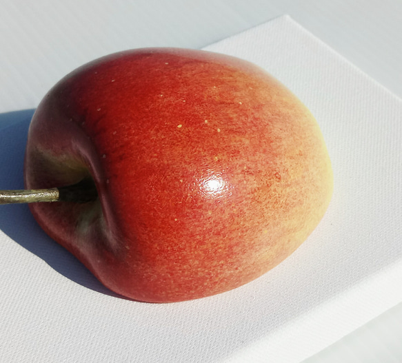 リンゴ 3枚目の画像
