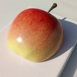 リンゴ 4枚目の画像