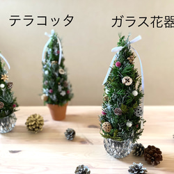 【Creema限定 早割価格】 クリスマスツリー 1枚目の画像