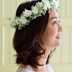 2_e9715c71c109b66abe85f291cbba