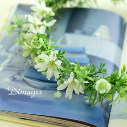 メアリーデイジー&小花の摘み草みたいな花冠【Flower Crown W&G-02】 4枚目の画像