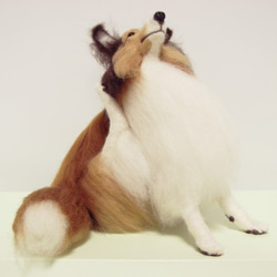 羊毛フェルト　シェルティ　専用ページ オーダー】羊毛フェルト犬猫 20～30cm シェルティ プードル
