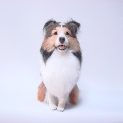 羊毛フェルト 犬 シェルティ お座り（1705） 羊毛フェルト tera