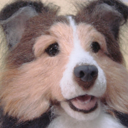 羊毛フェルト　犬　シェルティ　お座り（1705） 7枚目の画像