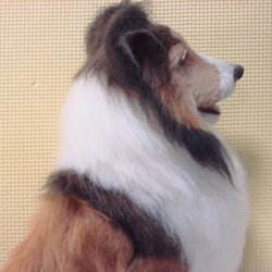 羊毛フェルト　犬　シェルティ　お座り（1705） 8枚目の画像