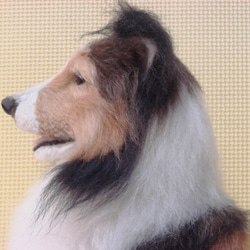 羊毛フェルト　犬　シェルティ　お座り（1705） 9枚目の画像
