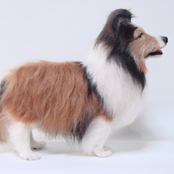 羊毛フェルト　犬　シェルティ　立ち姿（1706） 7枚目の画像