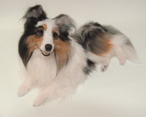 0_9cfa3118a76ea0afc1003725064b