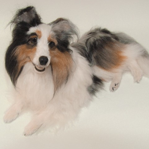 羊毛フェルト犬　シェルティ 羊毛フェルト 犬 シェルティ シェットランドシープドッグ 犬