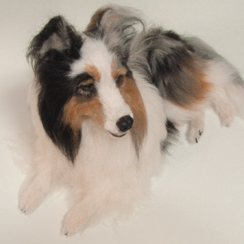羊毛フェルト 犬 シェルティ ブルーマール オッドアイ（1707） 羊毛