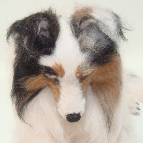 羊毛フェルト 犬 シェルティ ブルーマール オッドアイ（1707） 羊毛